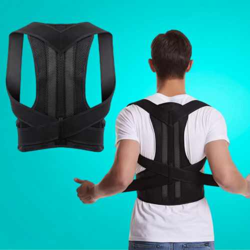 רצועה ליציבת הגב